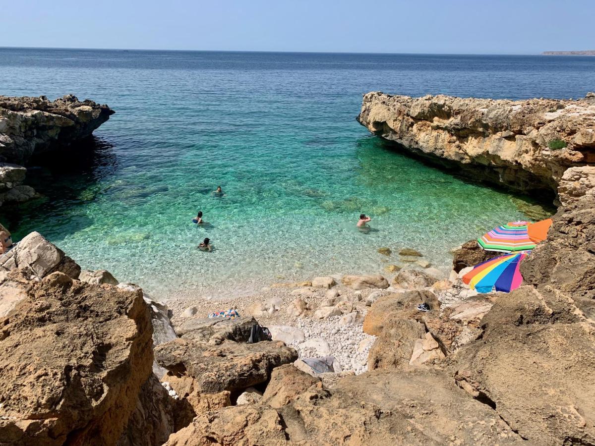 L'Oasi Una Pineta Sul Mare Custonaci Exteriér fotografie