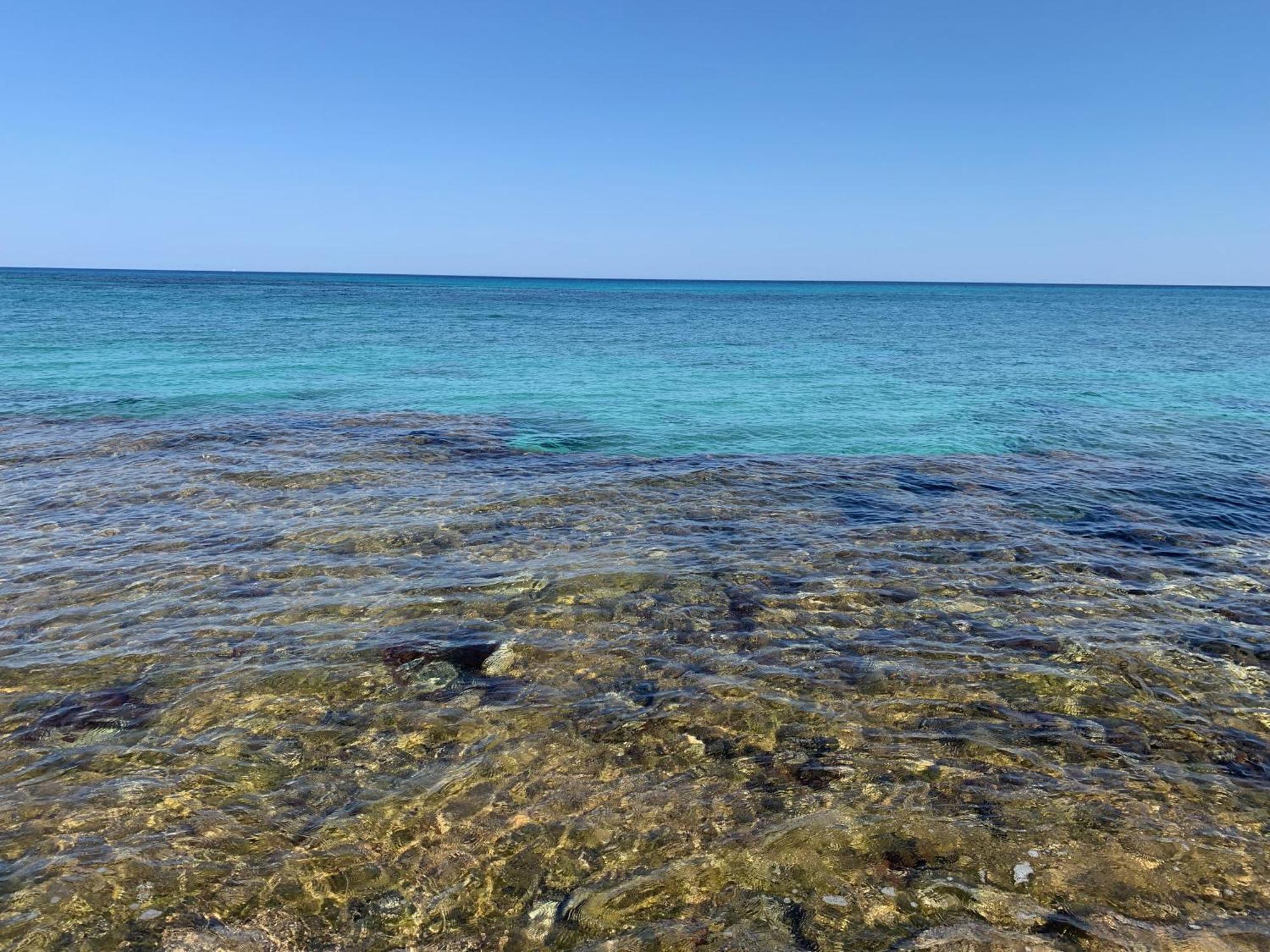 L'Oasi Una Pineta Sul Mare Custonaci Exteriér fotografie