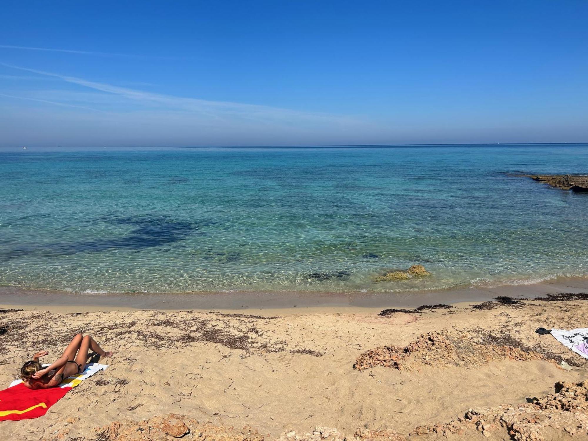 L'Oasi Una Pineta Sul Mare Custonaci Exteriér fotografie