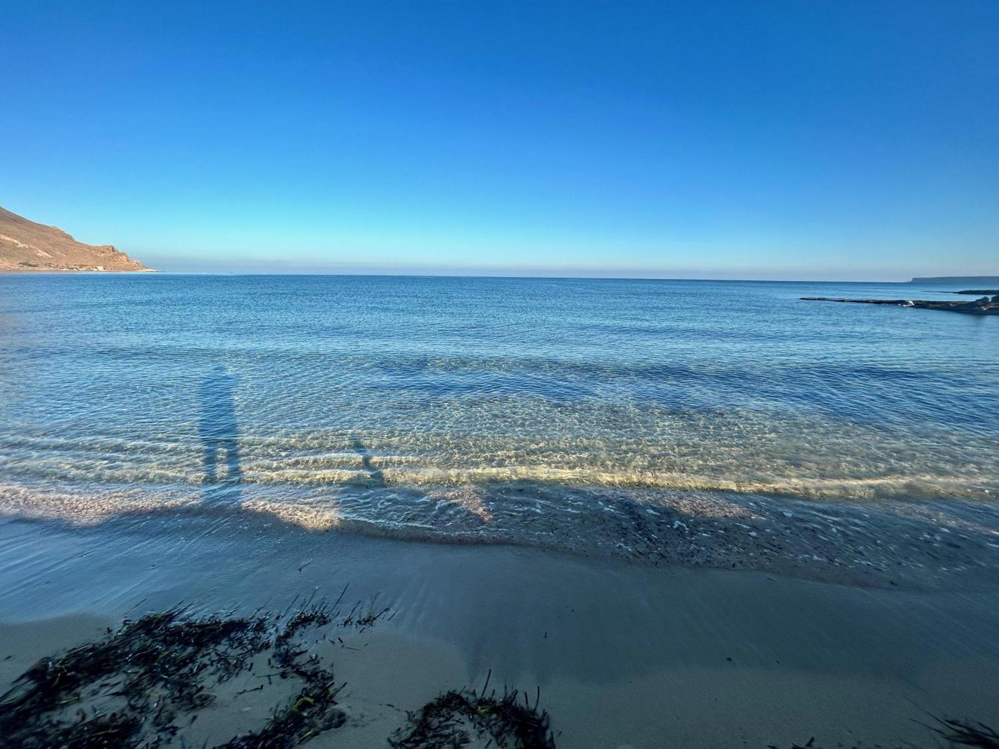 L'Oasi Una Pineta Sul Mare Custonaci Exteriér fotografie