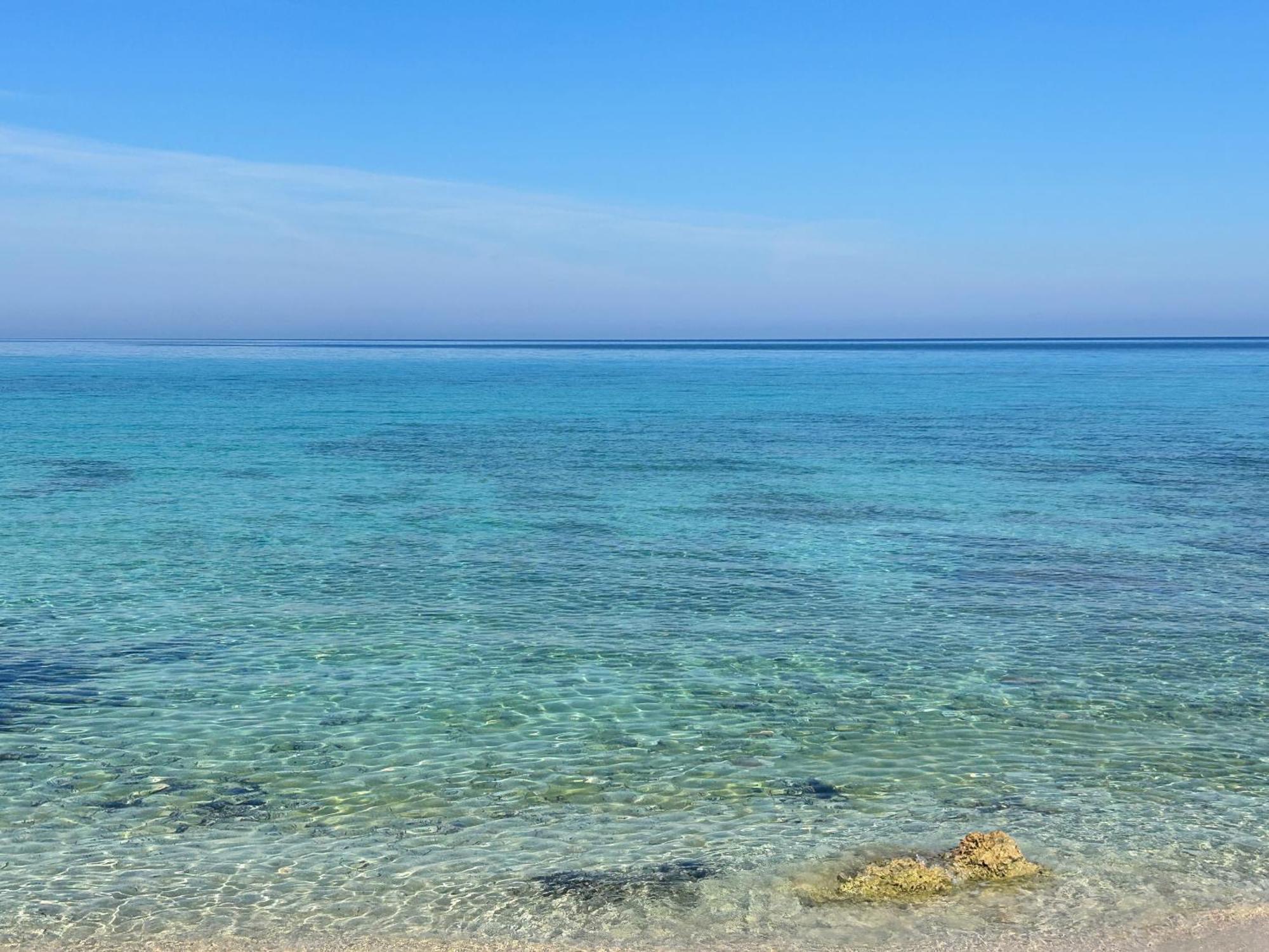 L'Oasi Una Pineta Sul Mare Custonaci Exteriér fotografie