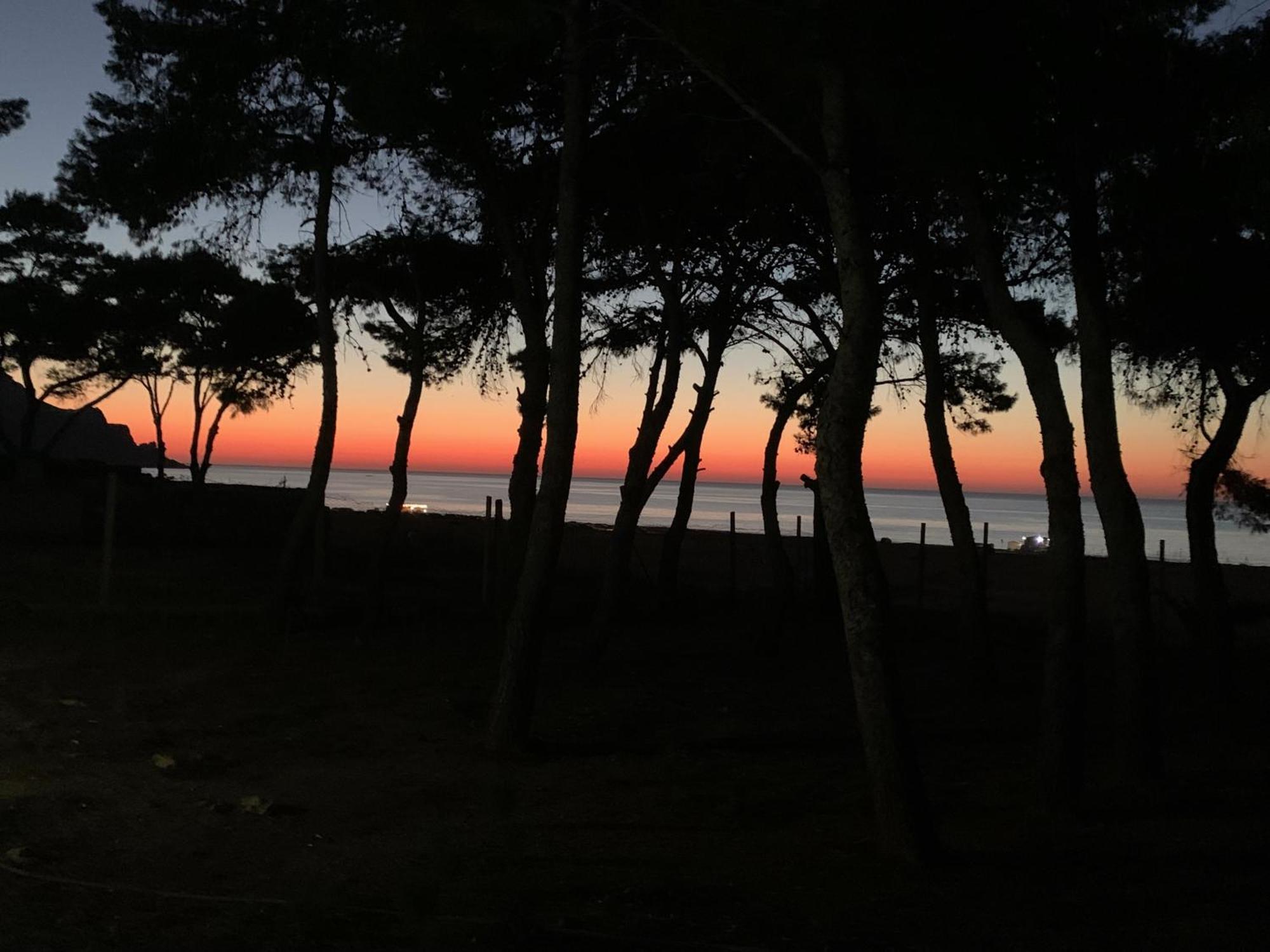 L'Oasi Una Pineta Sul Mare Custonaci Exteriér fotografie