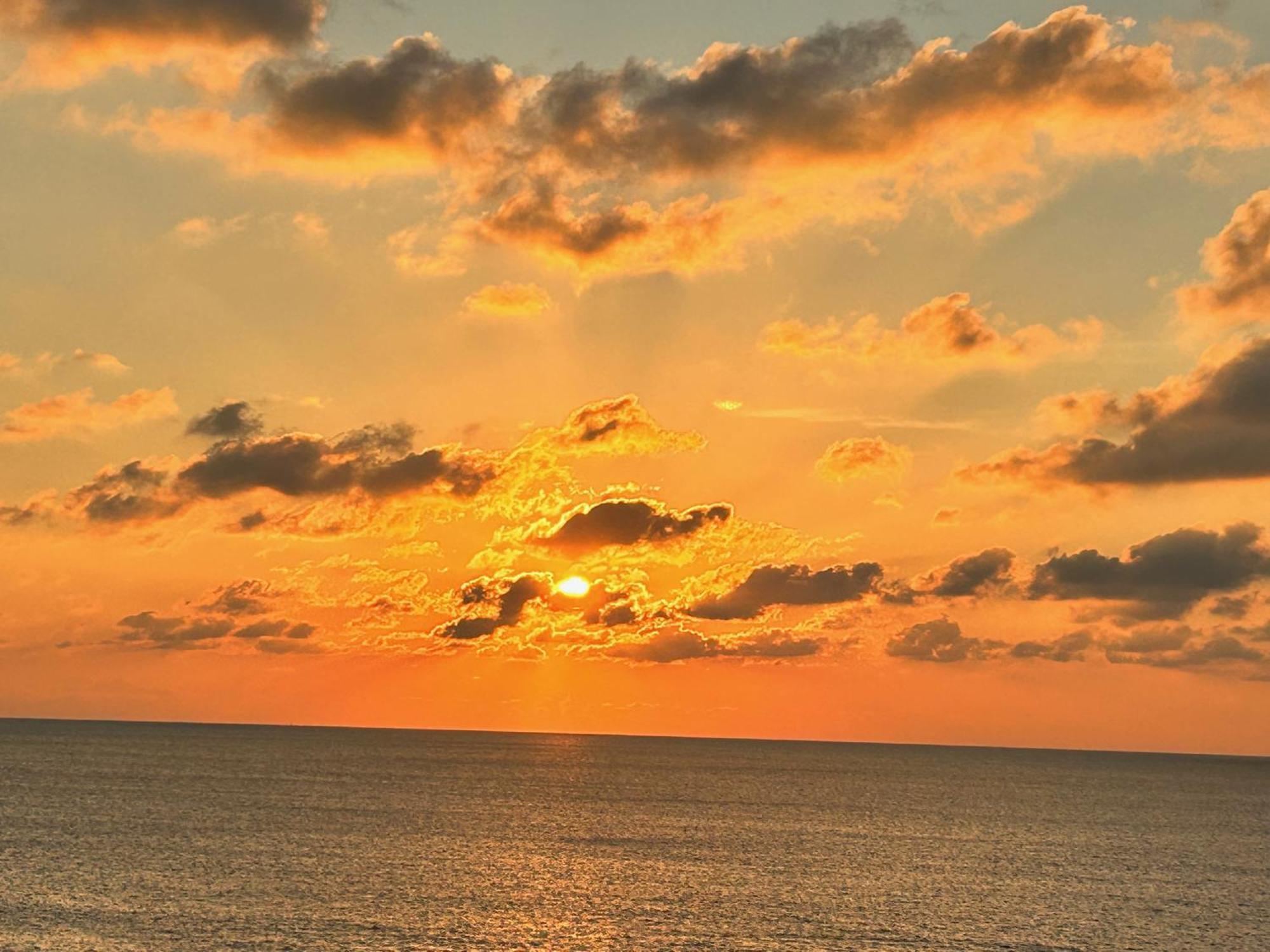 L'Oasi Una Pineta Sul Mare Custonaci Exteriér fotografie